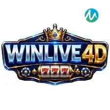 winlive4d